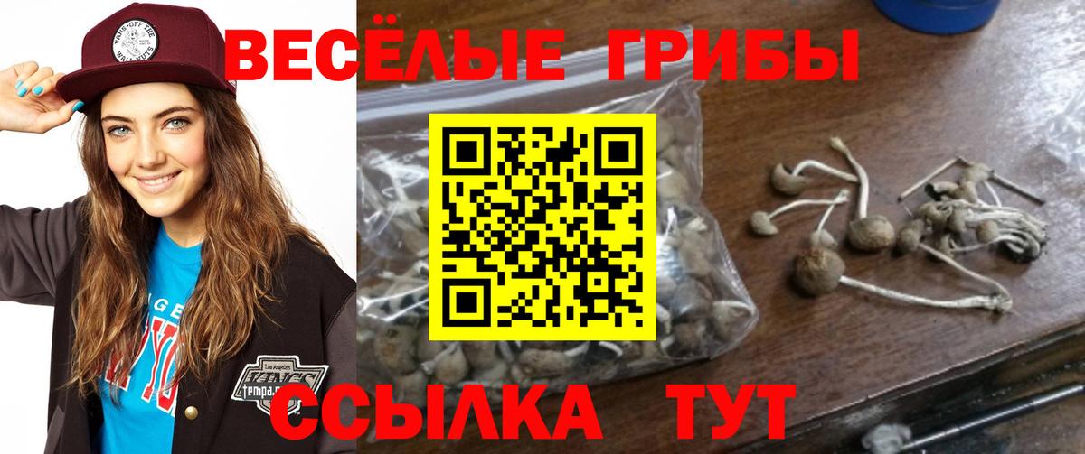 Галлюциногенные грибы MAGIC MUSHROOMS Крымск